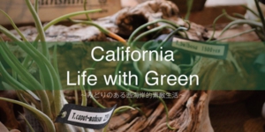 california_life_with_green_01.jpg